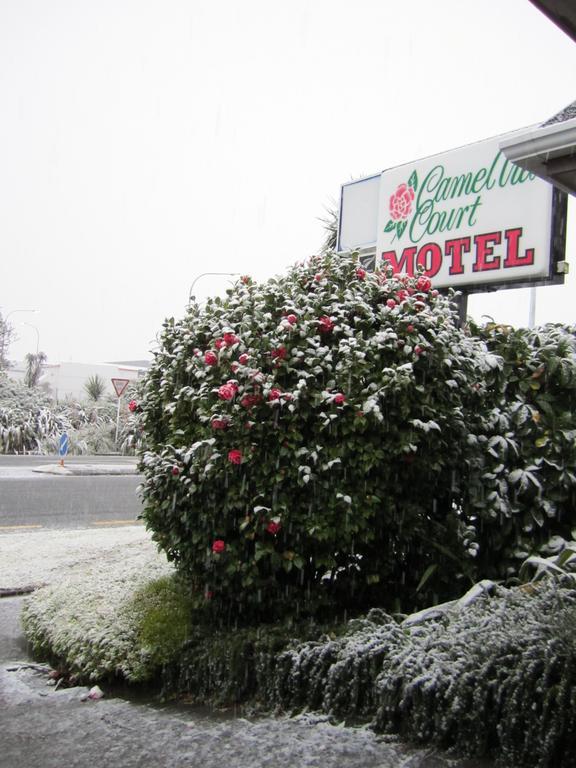 Camellia Court Motel 下哈特 外观 照片